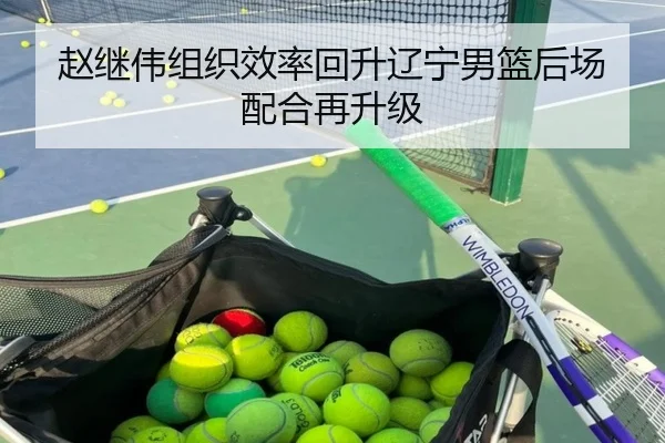 赵继伟组织效率回升辽宁男篮后场配合再升级 | Milan