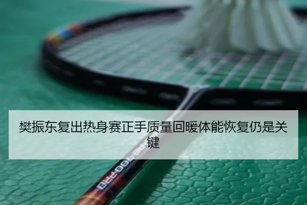樊振东复出热身赛正手质量回暖体能恢复仍是关键 | Milan